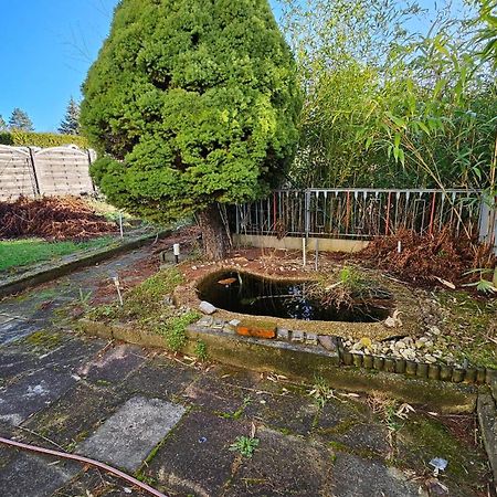 Haus Mit Garten Halle  外观 照片